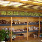 Farm Stall Fresh Produce